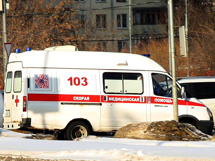 Трупы двоих мужчин найдены в гараже в Подмосковье