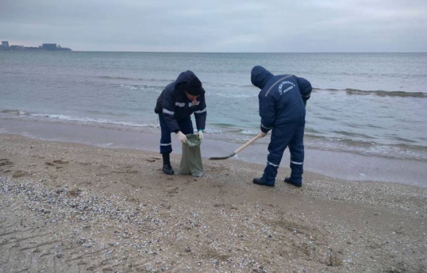 Путин лично приедет с проверкой на Черное море. Чьи головы полетят?