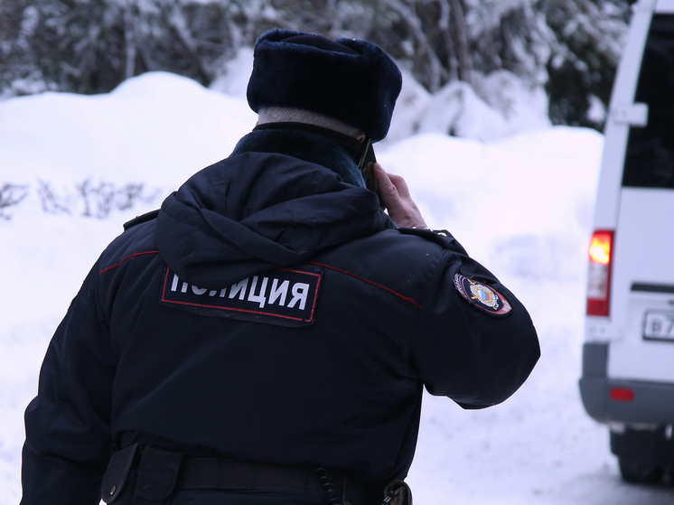 У черного лесоруба, расстрелявшего лесничих, изымали 48 кг тротила