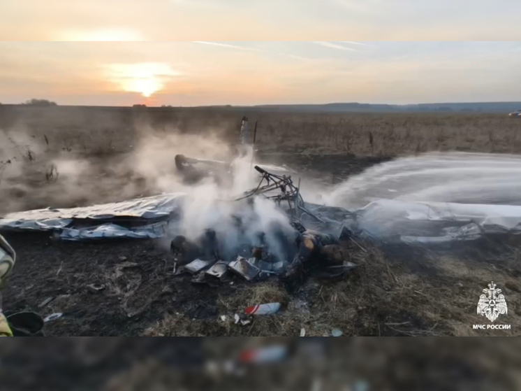 «Самолет пикировал»: новые детали авиакатастрофы в Подмосковье